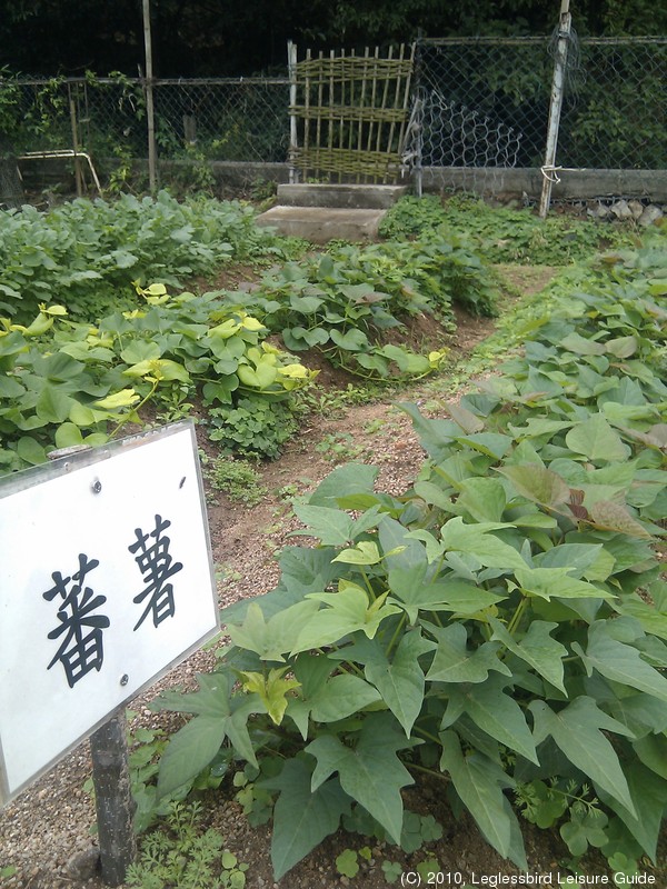 20100215Farm Visit27.jpg